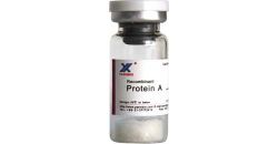 Protein A,recombinant Protein A