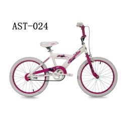 20-inch Wheels Girls Bike