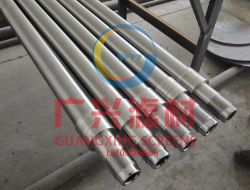 Filter Element--wedge Wire Screen Guangxing 