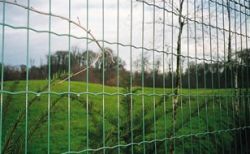 Euro Fence