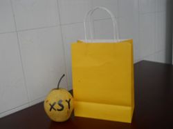 Customized Kraft Paper Bag 