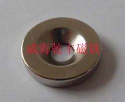 Neodymium Magnetic Ring