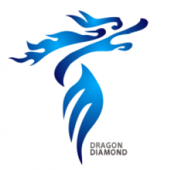 Guangzhou Dragon Diamond Technology Co., Ltd