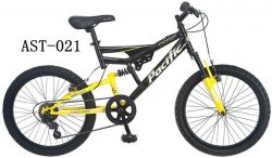  20-inch Boy\'s Chromium Full Suspension Bicycle