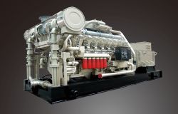 Natural Gas Generator