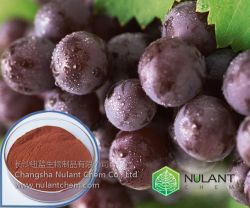 Grape Seed Extract 95% Opc