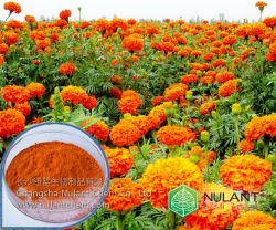 Marigold Extract Lutein 5-80% 127-40-2