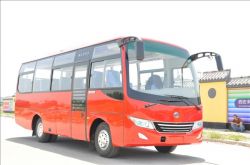 30 Seater Tourist Bus Ls6760