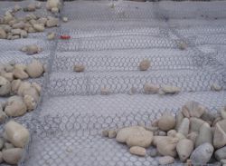 Hexagonal wire mesh 