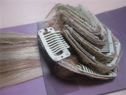 Clip In Hair Extensions