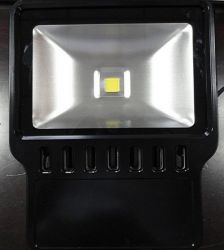 Lgto-100w Led Floodlight