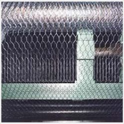 Hexagonal wire mesh 