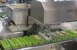 satay meat skewer machine 