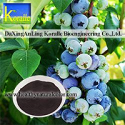 Blueberry Extract(anthocyanin 5%-70%)