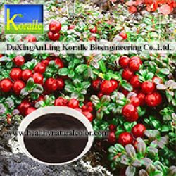 Lingonberry Extract(5%-70% Anthocyanin) 