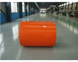 Prepainted Galvanized Steel Coil 