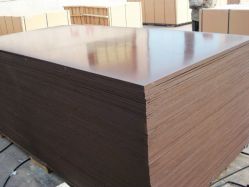 Film Faced Plywood For Construction