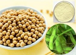 Soybean Extract- Isoflavones