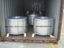 galvanized steel sheet