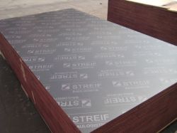 Film faced plywood for construction