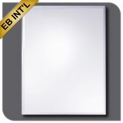 Silver Mirror