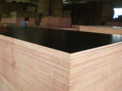 Black Film Faced Plywood