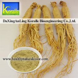 Ginseng Extract(ginsenosides 80%)