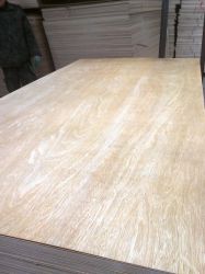 Hardwood plywood from China 