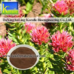 Rhodiola Rosea Extract(rosavin 1%-5%, Salidrosides