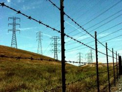 Highway Fence