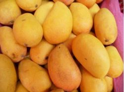 Mango Juice Powder- Flavonoids