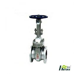 Cast Steel Gate Valve