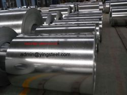 Hot Dipped Galvanized Steel Coils