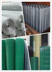 Welded Wire Mesh