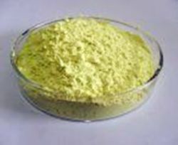 Chlorogenic Acid