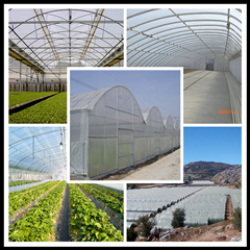 Agricultural Greenhouse Film