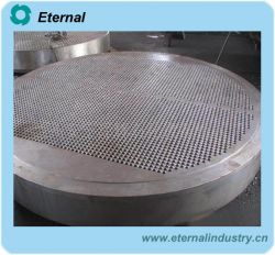 Tube Sheet for Pressure Vessel