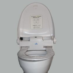 Intelligent Hygienictoilet Seat