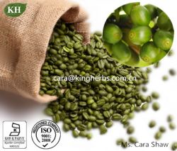 Green Coffee Bean Extract Total Chlorogenic Acids
