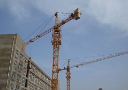  Tower Crane (qtz63 (tc5013)) Max Load 6t-sanyisan