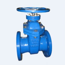 Gate Valve, Flanged Resilient Seat Non-rising Stem