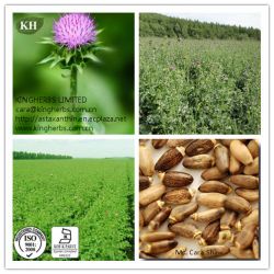 Kingherbs\' Milk Thistle Extract Silymarin 70%, 80%