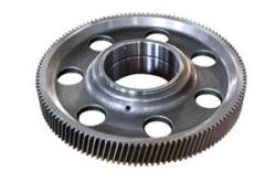 Large Spur Gear