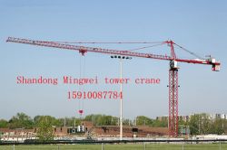 China Professional Manufacture Tower Craneqtz40/50