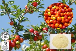 Acerola Cherry Extract