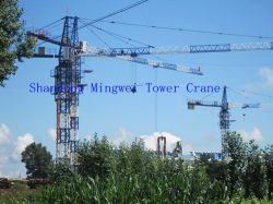 Mini Tower Crane Qtz31.5 Tc4207 Max.load:3t