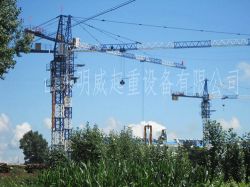 Qtz63(5012)-5t  Tower Crane