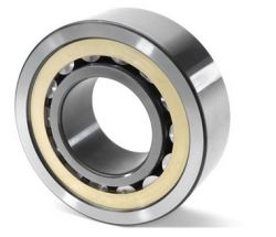 Cylindrical Roller Bearings