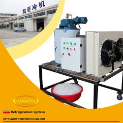 5Tons/24h industrial seawater flake ice machine