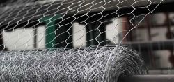 Galvanized Chicken Wire